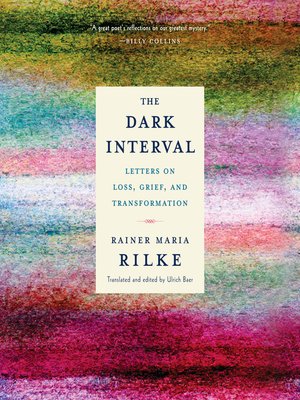 cover image of The Dark Interval
